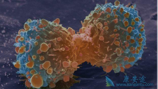 ����ҽ��