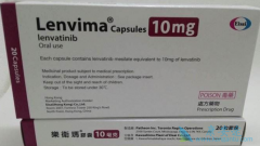 �ַ��������������ڼ�״�ٰ���������