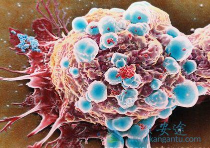 ����ҽ��