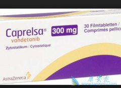 �ΰ�RET���Ի����ܹ���ʹ�÷�����������������