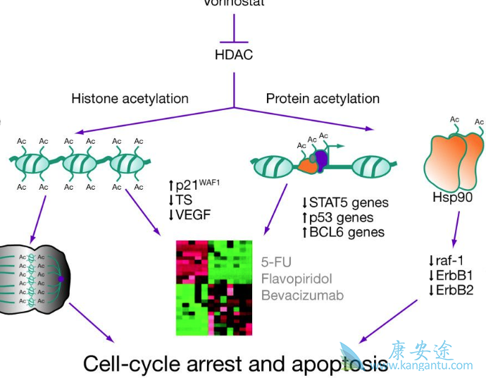 ����ŵ��