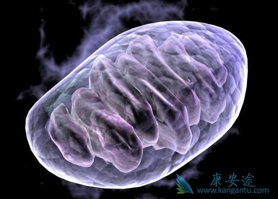 海外医疗 海外医疗