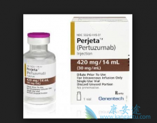 �����鵥�������HER2����ת�������ٰ���Ч