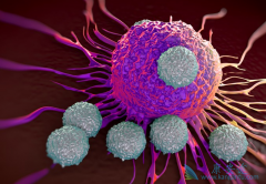 �ܰ������߲���CAR-Tϸ�������ڼ���Ҫע��Щʲô