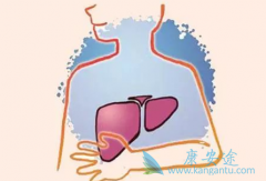 ӡ�ȼ���������ҩ�Ǹ������ͼ۸�ı������Ʒ���