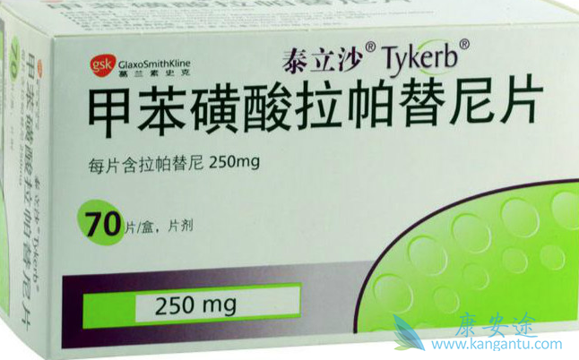 拉帕替尼 拉帕替尼