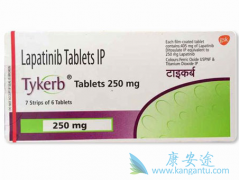 �����鵥��+��������(lapatinib)��Ч������ϸ������������