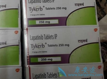 拉帕替尼 拉帕替尼