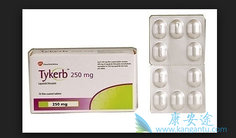 拉帕替尼 拉帕替尼