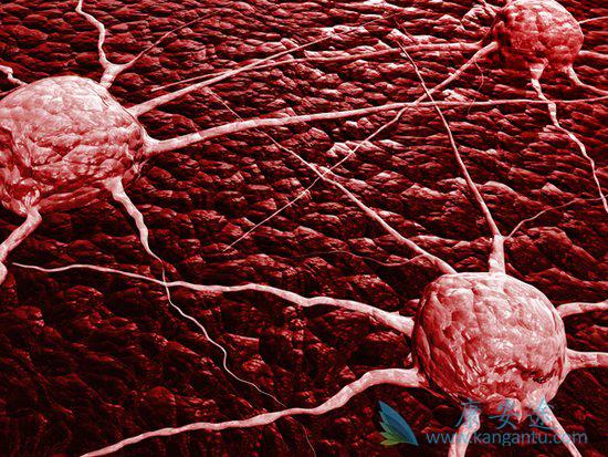 ����ҽ��