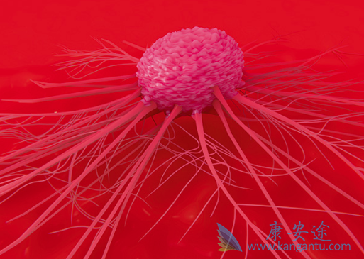 伯舒替尼 伯舒替尼