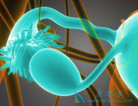 帕纳替尼 帕纳替尼