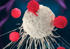 ˫������CAR������ǿCAR-Tϸ���԰�֢������Ч��