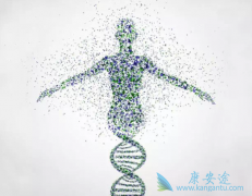 ��������(Olaparib)�����ѳ�������Щ��Ӧ֢