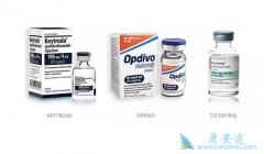 PD-1�����PD-L1�����������Щ�������ʺ�PD-L1���������أ�