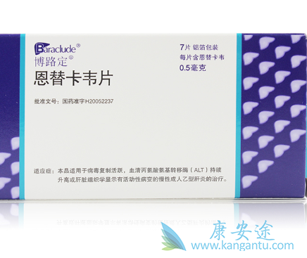 恩替卡韦片 恩替卡韦片