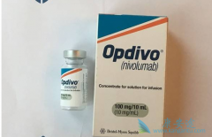 ���ƹ���������ж�PD-1���Ƽ���Ч��