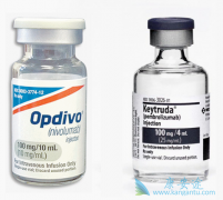 PD-1���Ƽ��봫ͳ�Ļ����������Щ�ŵ㣿