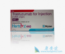 ����͡�������鵥������ҩ����ѡ��ӡ��Mylan����͡����ҩ