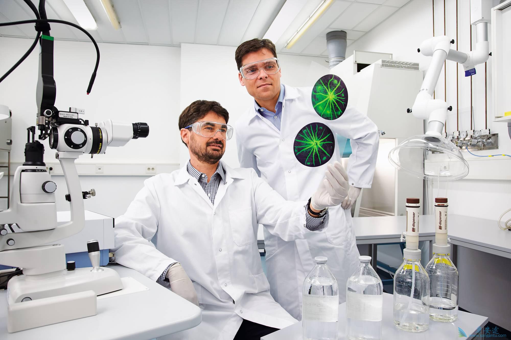 海外医疗 海外医疗