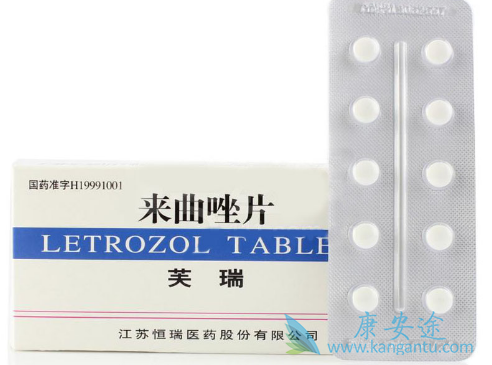 ������Ƭ