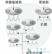 ʲô�Ƕ෢�Թ��������෢�Թ���������Щ����