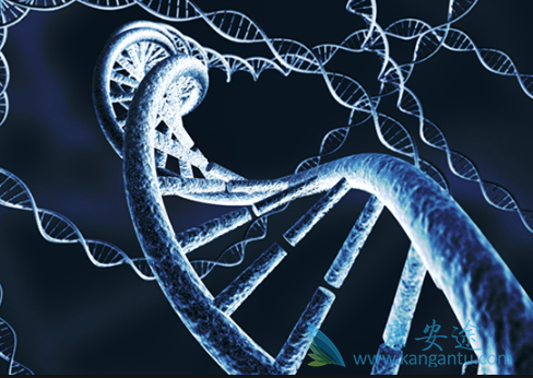 多发性骨髓瘤饮食 多发性骨髓瘤饮食