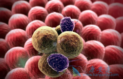 �෢�Թ�����֢״����Щ�����辯��