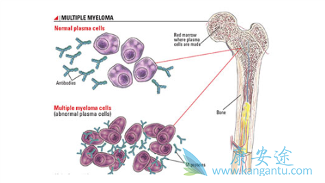 �������ܻ���