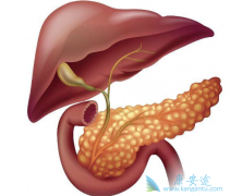 ���ٰ�֢״����Щ?���ٰ���ô�������κ�