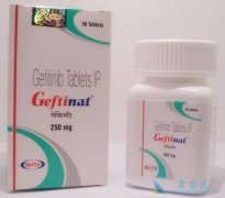 ����ӡ������ɳ(GEFINAT)��������ϵͳ�������Ǹ���ô�죿