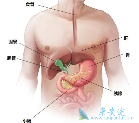 ���ٰ�������