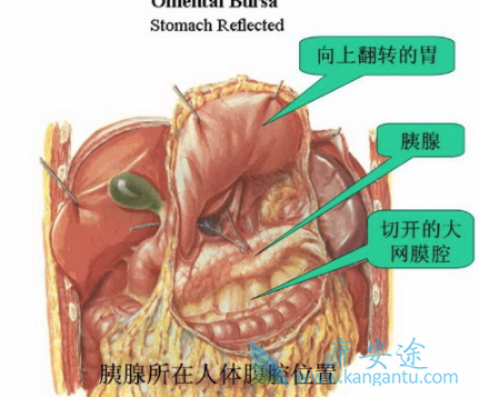 �������ٰ�