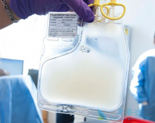 CAR-Tϸ���Ʒ�Ŀǰ����ȱ���Ǽ�������ϸ�����ӷ籩