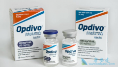 ֪��PD-1����Opdivo��ŷ���֣����������й���������