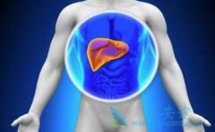 �ΰ����Ƶ��ֶ�����Щ?��Щ�ΰ���Ҫ��������