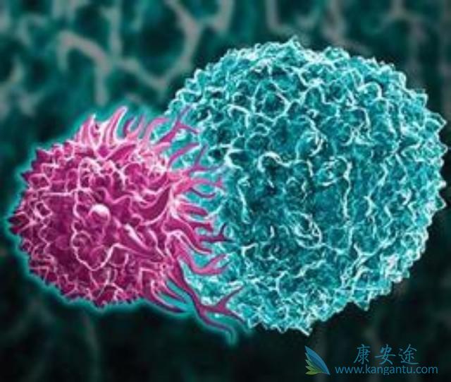 ����ҽ��