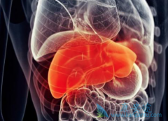 �ΰ����ڵ�������������������л��������