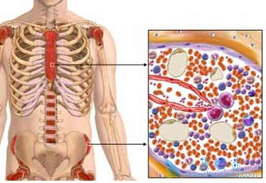 ʲô�Ƕ෢�Թ�����