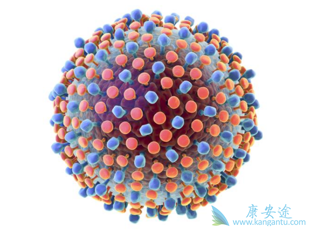 �����Ա���