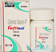 ����ɳ���������ᣩ�����������еķΰ�����