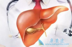 �Ҹγ�ʶ���ҸεĴ���;������Щ����������α����Ҹδ�Ⱦ��