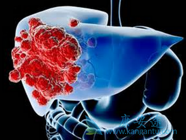 �ΰ���������