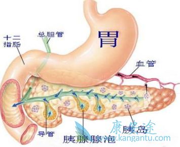 胰腺癌的治疗 胰腺癌的治疗
