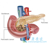 ��ҽ�������ٰ�����ҽ�������Щ�õĵط�