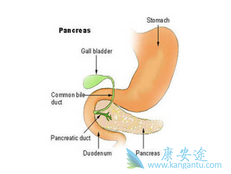 ���ٰ�������