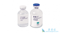 ӡ�Ⱥ���͡�����鵥���͹��ڰ汾����ʲô��ͬ