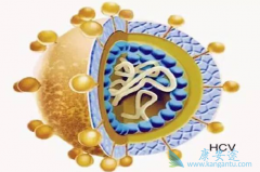 �ڱ�������ҽԺ�����Ա��ο������ƺ���