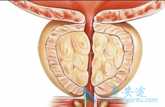 ����ǰ���ٰ��ܻ��ùؼ�������Щ����