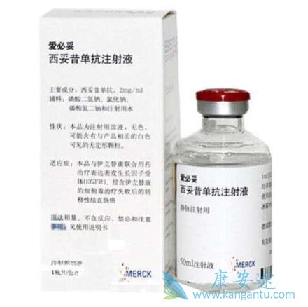 西妥昔单抗 西妥昔单抗